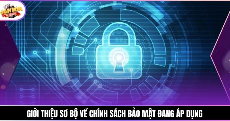 Giới thiệu sơ bộ về chính sách bảo mật đang áp dụng